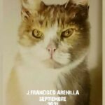 20210907 - Exposición de pintura: "Amigo desconocido" - José Francisco Arenilla