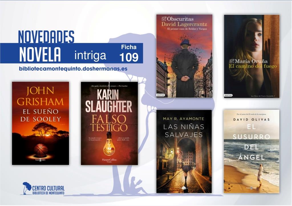 Biblioteca de Montequinto: novedades literarias (Novela - Ficha 109)