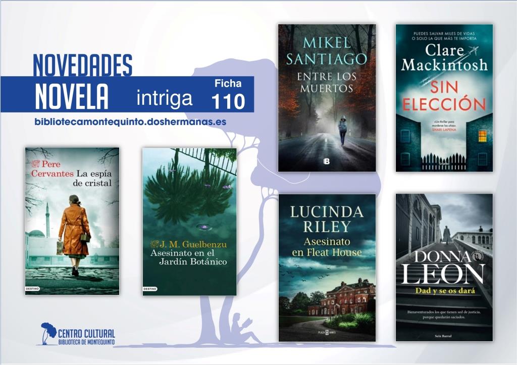 Biblioteca de Montequinto: novedades literarias (Novela - Ficha 110)