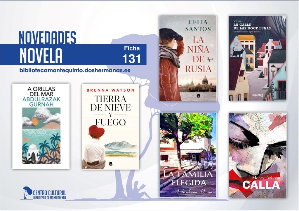 Biblioteca de Montequinto: novedades literarias (Novela - Ficha 131)