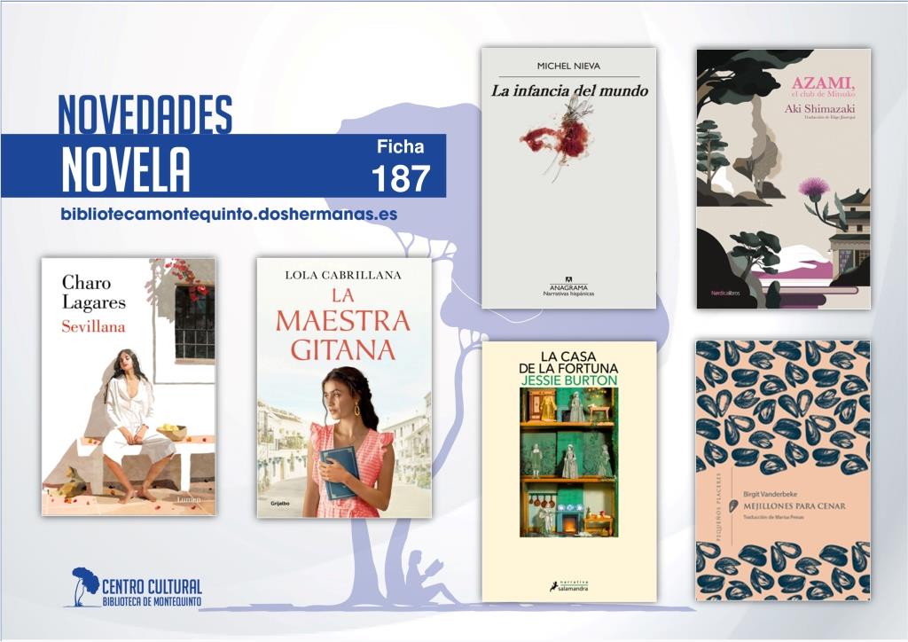 Biblioteca de Montequinto: novedades literarias (Novela - Ficha 187)