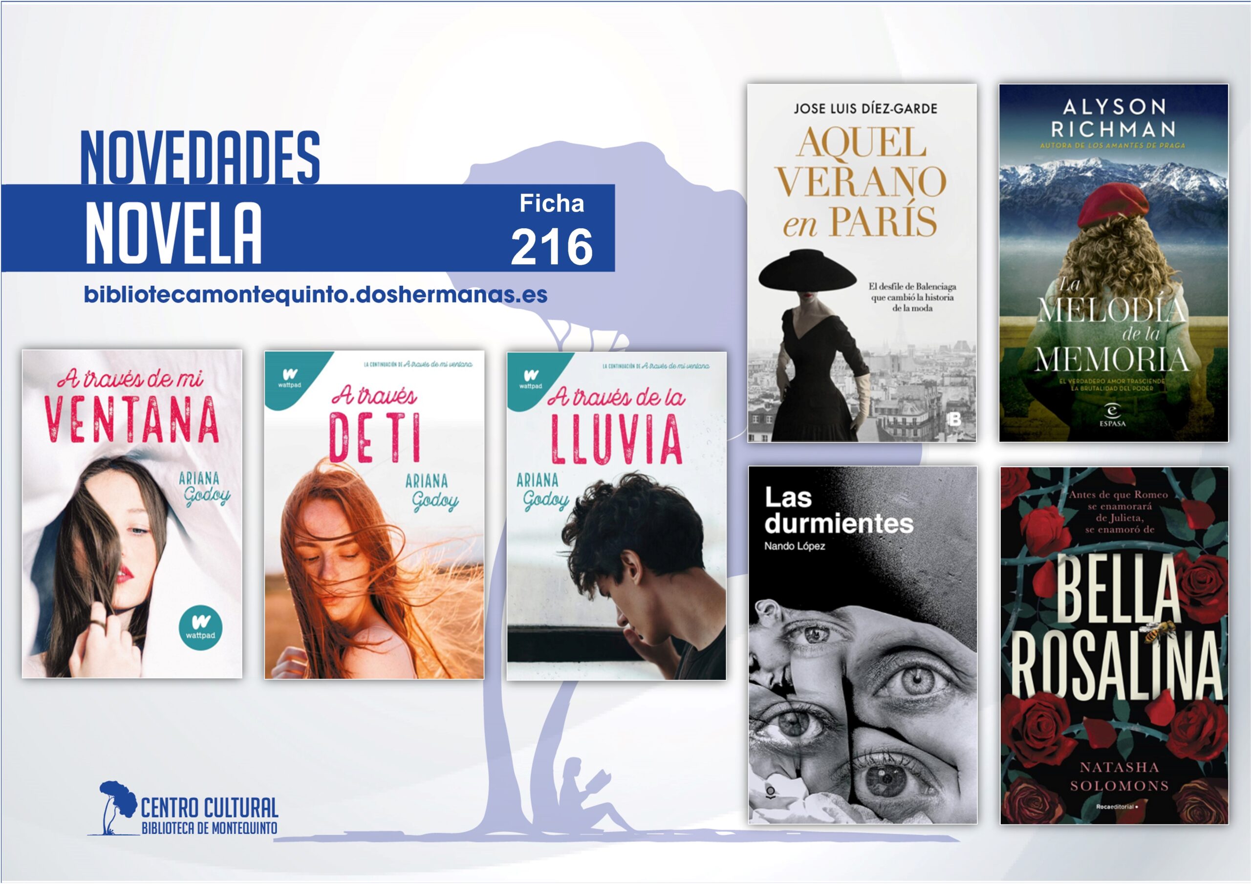 Biblioteca de Montequinto: novedades literarias (Novela - Ficha 216)