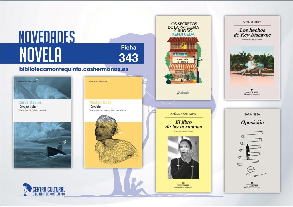Biblioteca de Montequinto: novedades literarias (Novela - Ficha 343)